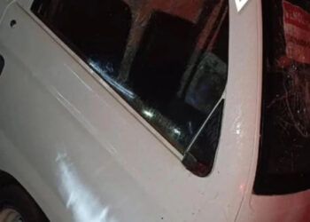 mulher-e-presa-apos-espancar-a-sogra-e-destruir-caminhao-em-goias