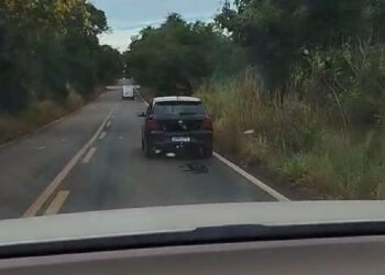 homem-e-preso-apos-arrastar-cachorro-amarrado-na-go-154;-veja-o-video