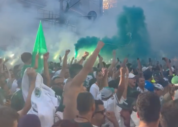 palmeiras-elimina-o-botafogo-na-prorrogacao-e-se-classifica-as-quartas-no-mundial