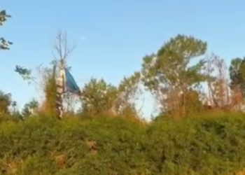 parapente-cai-em-mata-as-margens-do-rio-araguaia-e-piloto-e-resgatado