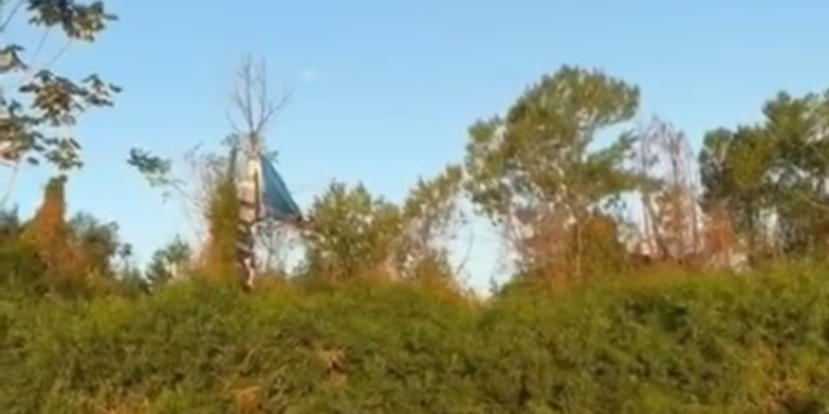 parapente-cai-em-mata-as-margens-do-rio-araguaia-e-piloto-e-resgatado