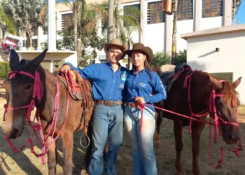 fe-que-move-geracoes:-romeiros-percorrem-longas-jornadas-ate-trindade