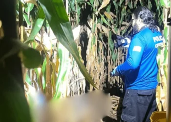 cacador-mata-colega-por-engano-em-fazenda-de-mineiros-e-foge-do-local