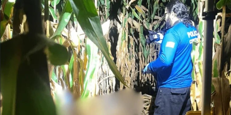 cacador-mata-colega-por-engano-em-fazenda-de-mineiros-e-foge-do-local