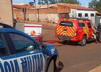 crianca-de-3-anos-morre-apos-ataque-de-pitbull