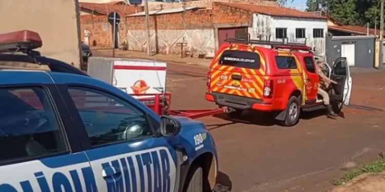 crianca-de-3-anos-morre-apos-ataque-de-pitbull