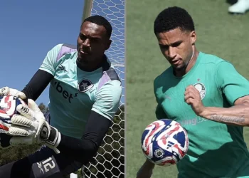 palmeiras-valoriza-garra-de-paulinho-e-reforca-apoio-ao-camisa-10