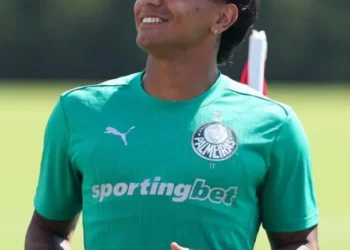 palmeiras-e-fluminense-entram-em-campo-pelas-quartas-da-copa-do-mundo-de-clubes