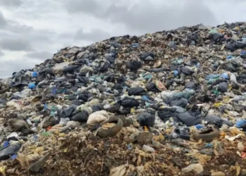 lixao-de-goiania-nao-pode-mais-ser-regularizado,-afirma-semad