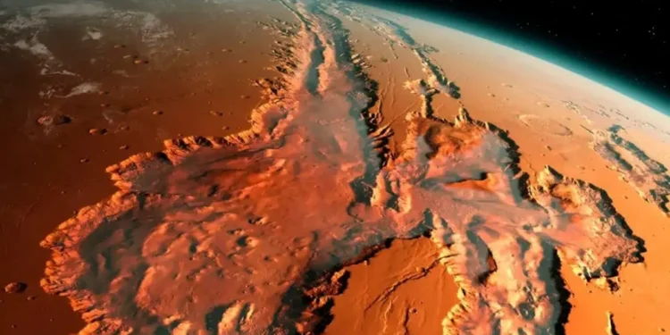 maior-meteorito-de-marte-encontrado-na-terra-vai-a-leilao-e-pode-alcancar-ate-r$-21-milhoes