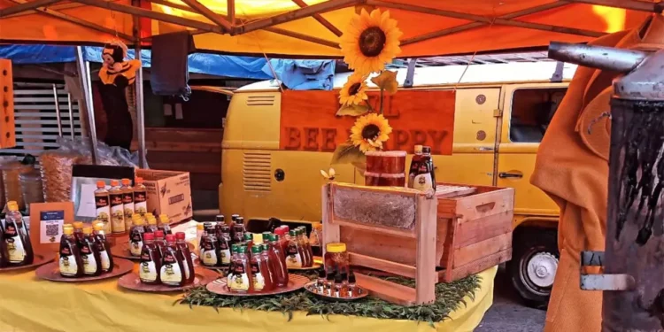 estacao-mundo-do-mel-apresenta-diversidade-de-produtos-apicolas-em-goiania