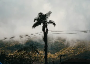 temperaturas-despencam-em-goias-neste-domingo-e-chegam-a-11 °c