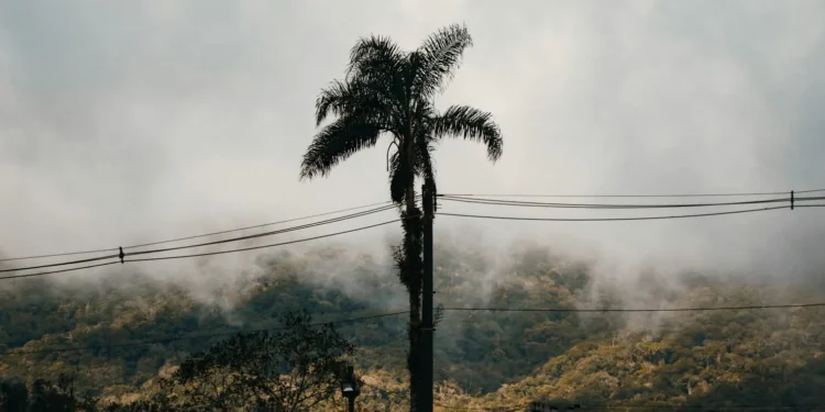 temperaturas-despencam-em-goias-neste-domingo-e-chegam-a-11 °c