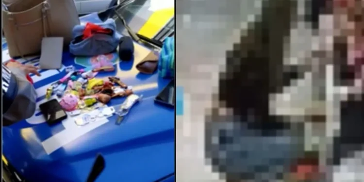 servidora-publica-de-goiania-e-presa-ao-ser-flagrada-furtando-na-regiao-da-44