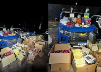 pm-desmantela-laboratorio-clandestino-de-medicamentos-em-senador-canedo