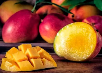 manga-se-torna-a-fruta-mais-exportada-do-brasil-e-movimenta-milhoes