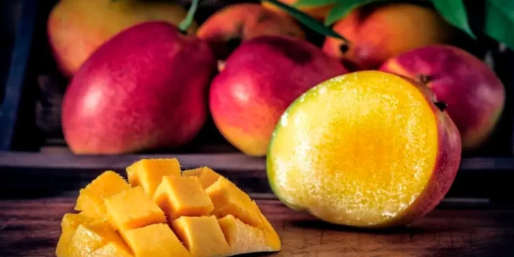 manga-se-torna-a-fruta-mais-exportada-do-brasil-e-movimenta-milhoes