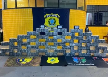 operacao-entre-forcas-policiais-de-go-e-mt-apreende-mais-de-meia-tonelada-de-droga