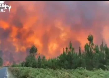 calor-extremo-atinge-europa-e-provoca-incendios-florestais