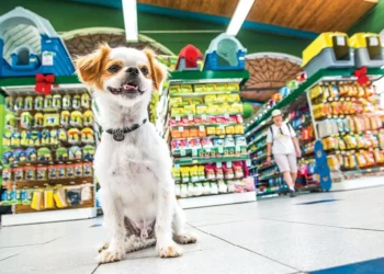brasil-se-firma-como-potencia-digital-pet-com-faturamento-de-r$-75-bilhoes