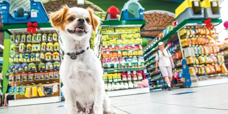 brasil-se-firma-como-potencia-digital-pet-com-faturamento-de-r$-75-bilhoes