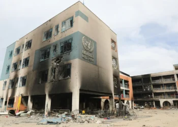 onu:-quase-800-mortos-em-gaza-ao-buscar-ajuda-humanitaria