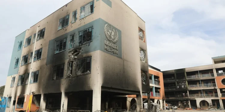 onu:-quase-800-mortos-em-gaza-ao-buscar-ajuda-humanitaria