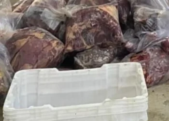 policia-deflagra-operacao-contra-abate-clandestino-de-cavalos