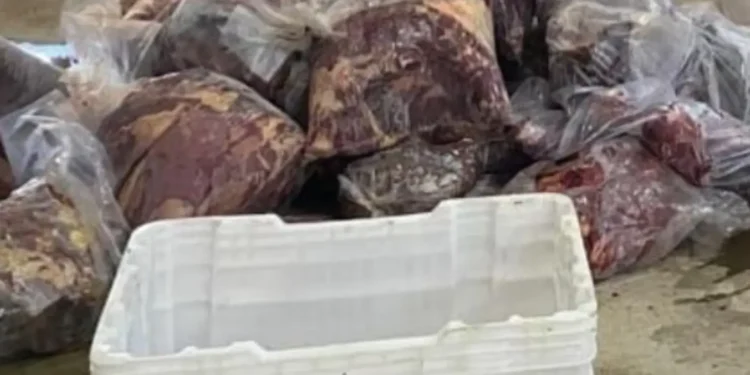 policia-deflagra-operacao-contra-abate-clandestino-de-cavalos