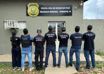 policia-civil-do-piaui-tera-novo-concurso-com-400-vagas