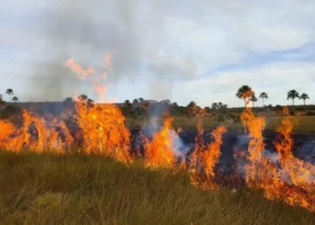 goias-decreta-proibicao-do-uso-do-fogo-e-estado-de-emergencia-ambiental-por-120-dias