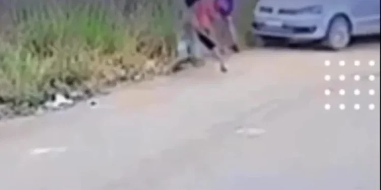 motorista-embriagada-atropela-crianca-e-foge-sem-prestar-socorro-em-trindade