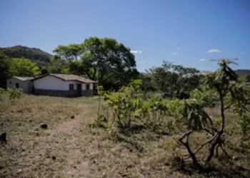 justica-federal-suspende-atividades-agropecuarias-em-territorio-kalunga-apos-acao-do-mpf