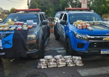 policia-apreende-131-kg-de-drogas-e-prende-suspeito-em-anapolis