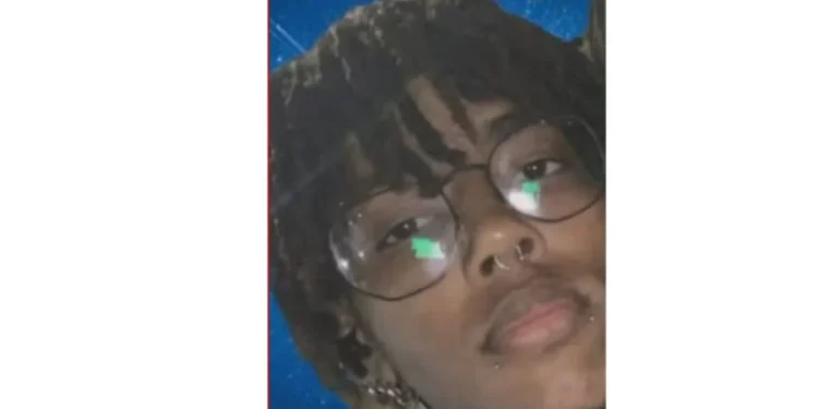 trabalhador-morre-apos-ser-atingido-na-cabeca-por-aro-de-pneu-em-unidade-de-entulhos-no-df