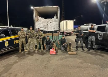 prf-e-pm-apreendem-550-kg-de-cocaina-escondidos-em-carga-de-milho-na-br-060