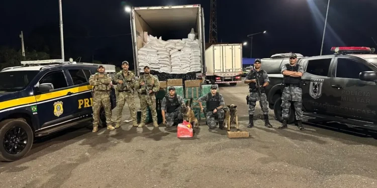 prf-e-pm-apreendem-550-kg-de-cocaina-escondidos-em-carga-de-milho-na-br-060