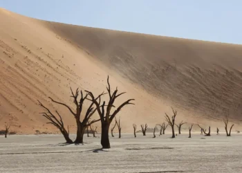 corte-internacional-da-onu-alerta-para-urgencia-das-mudancas-climaticas