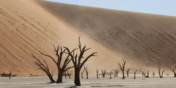 corte-internacional-da-onu-alerta-para-urgencia-das-mudancas-climaticas