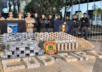 goias-registra-maior-apreensao-de-cocaina-ja-feita-no-estado