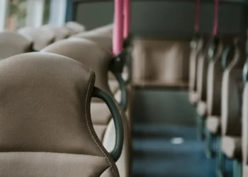 corpo-carbonizado,-de-joelhos-e-com-as-maos-amarradas-e-achado-em-anapolis