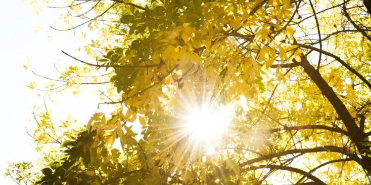 previsao-do-fim-de-semana-mostra-aponta-dias-quentes-e-sem-chuvas,-na-capital-goiana