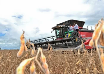 goias-tem-superavit-de-us$-669-milhoes-na-balanca-comercial-de-junho