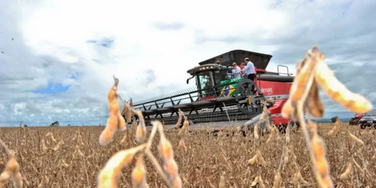 goias-tem-superavit-de-us$-669-milhoes-na-balanca-comercial-de-junho