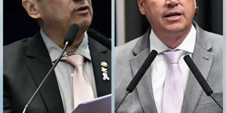 pauta-de-combate-ao-feminicidio-esta-em-alta,-mas-aplicabilidade-e-problema