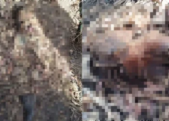 corpo-em-decomposicao-e-encontrado-em-chacara-de-aparecida-de-goiania