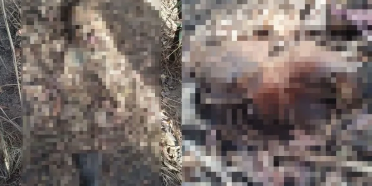 corpo-em-decomposicao-e-encontrado-em-chacara-de-aparecida-de-goiania