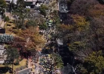 manifestacao-em-goiania-reune-apoiadores-de-bolsonaro-contra-lula-e-moraes