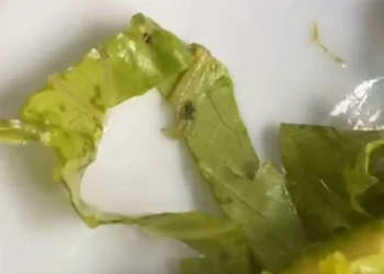 ‘larvas’-teriam-sido-encontradas-nas-refeicoes-servidas-no-hospital-das-clinicas-da-ufg