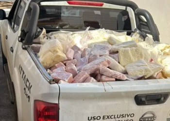 policia-apreende-mais-de-2-toneladas-de-alimentos-improprios-em-goiania